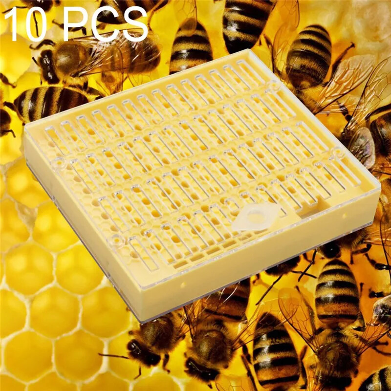 1Pcs Plastic Bee Queen Box Queen Rearing Box Cultivate Queen Bee Tool Beekeeping