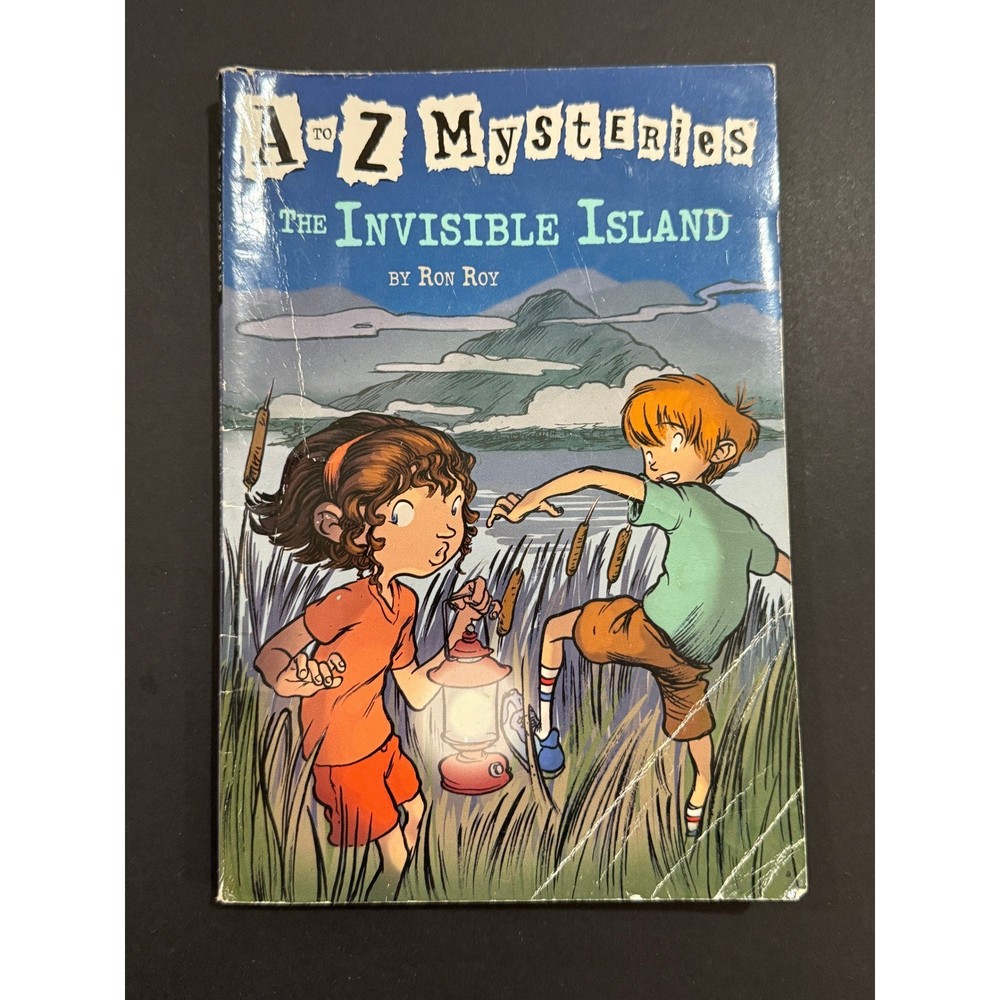 Children's Chapter Book - set of 5