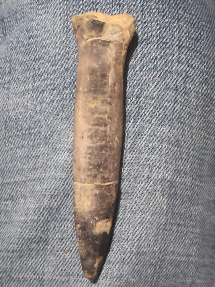 Backalite Spearhead RARE!