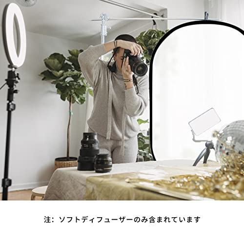 Selens Soft Diffuser Lighting Reflector 60x90cm for Photo Studios, Foldable, wit