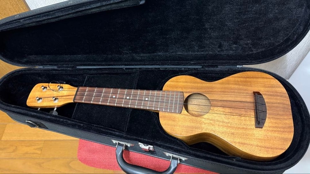 Mana ukulele gear peg pickup with hard case