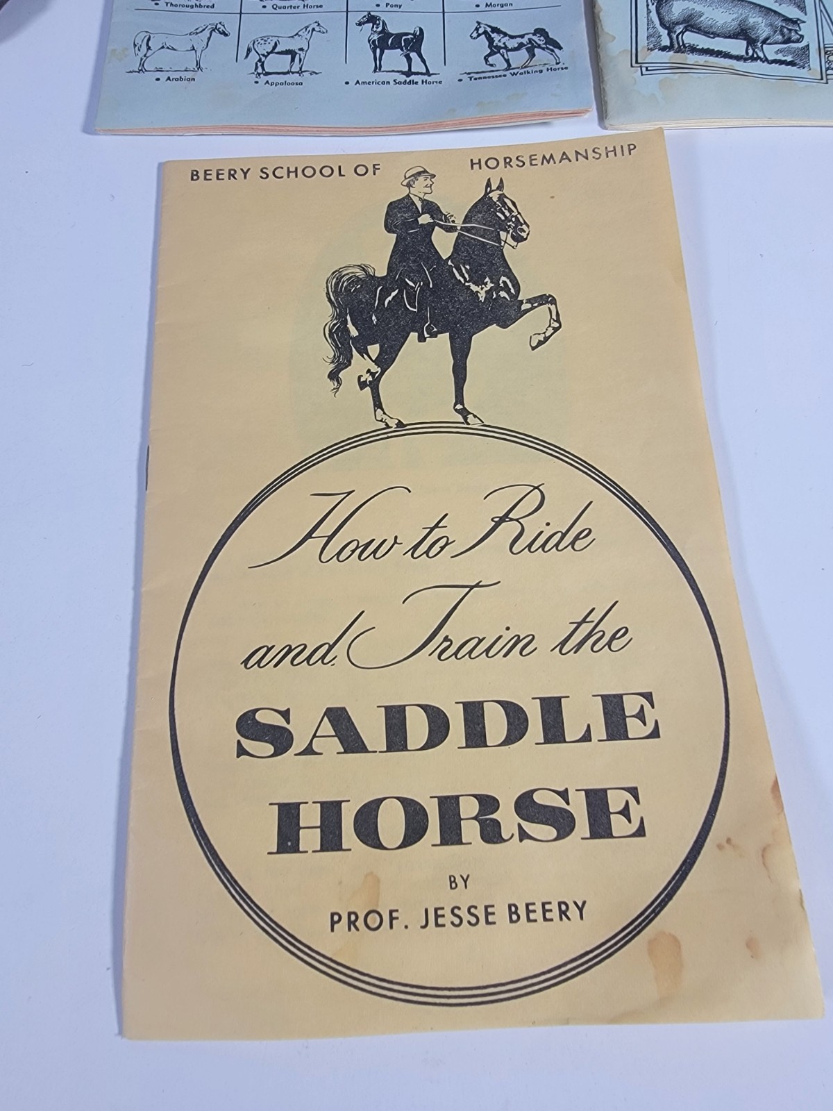 SET: VTG Genuine Brown Leather Bullwhip 100 inches Long Heavy Duty whip + 3 Book