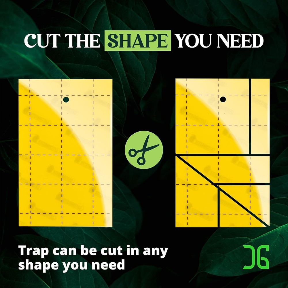 Catchmaster GRO Yellow Regular Double Sided Sticky Traps