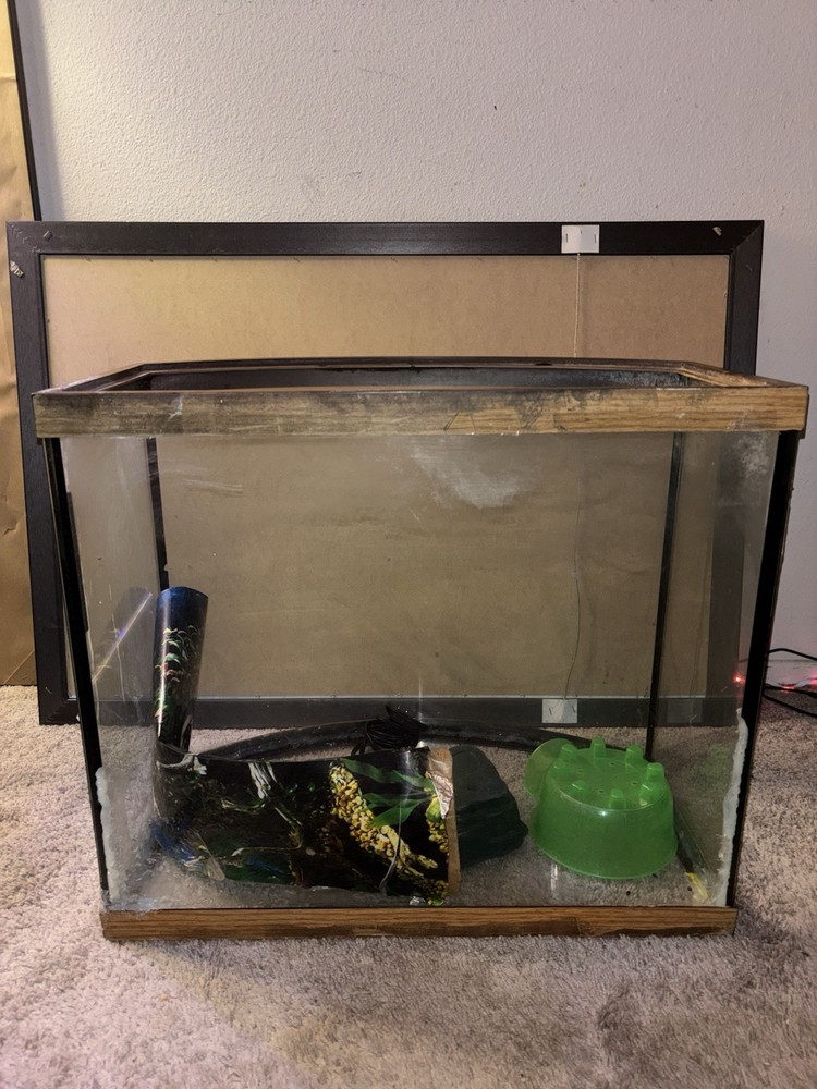36 Gallon Fish Tank + Decor! (PLEASE READ DESCRIPTION!)