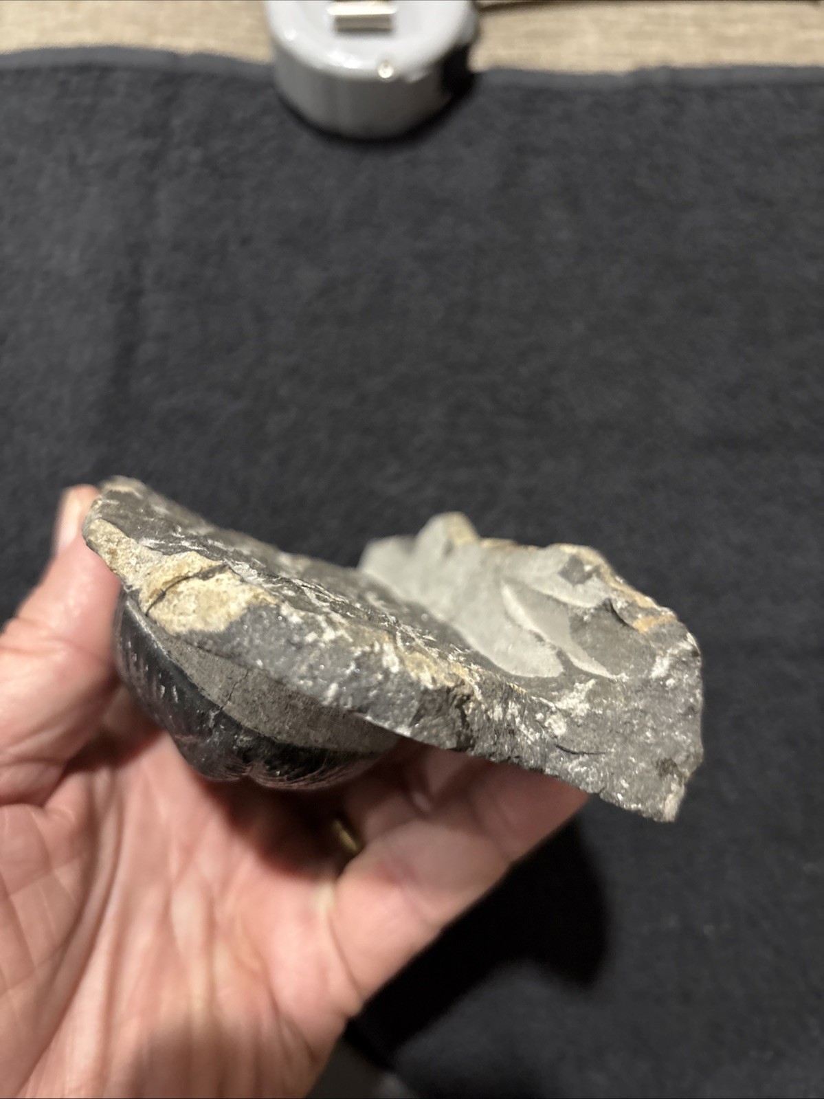 Really Nice Symmetrical 4 1/4+ Inches A Bit Shiny Oddly Cut Underneath Drotops