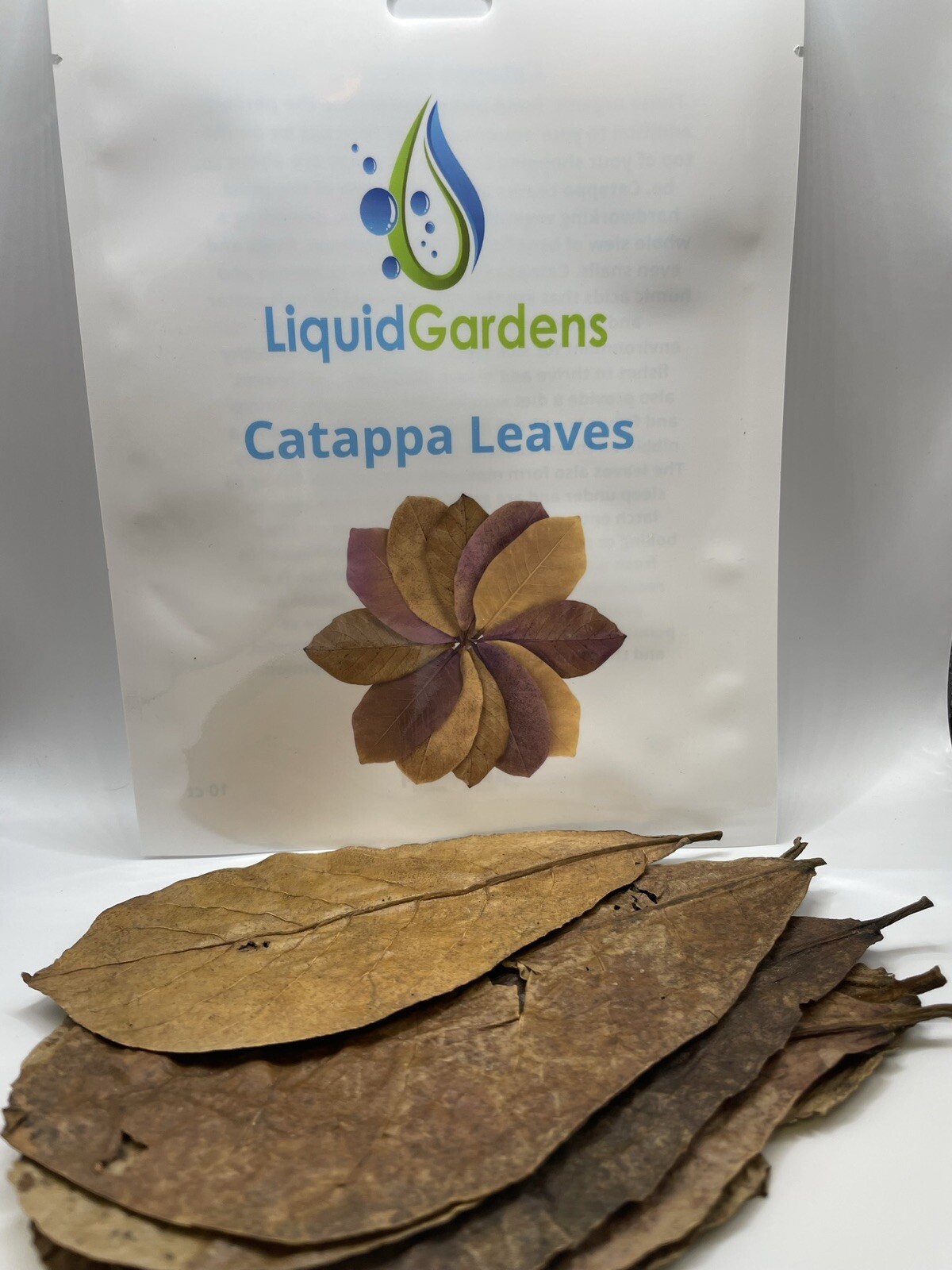 Catappa Leaves 10 Count “liquid Gardens” Almond Leaves Shrimp Botanicals Betta