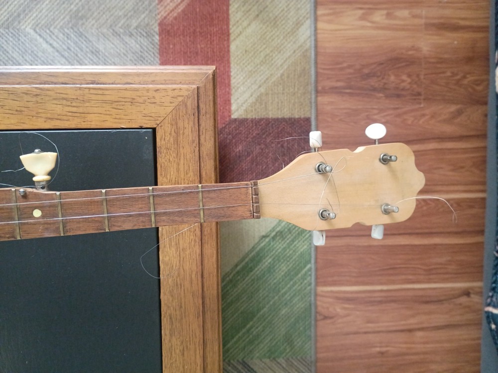 Banjo Needs Strings