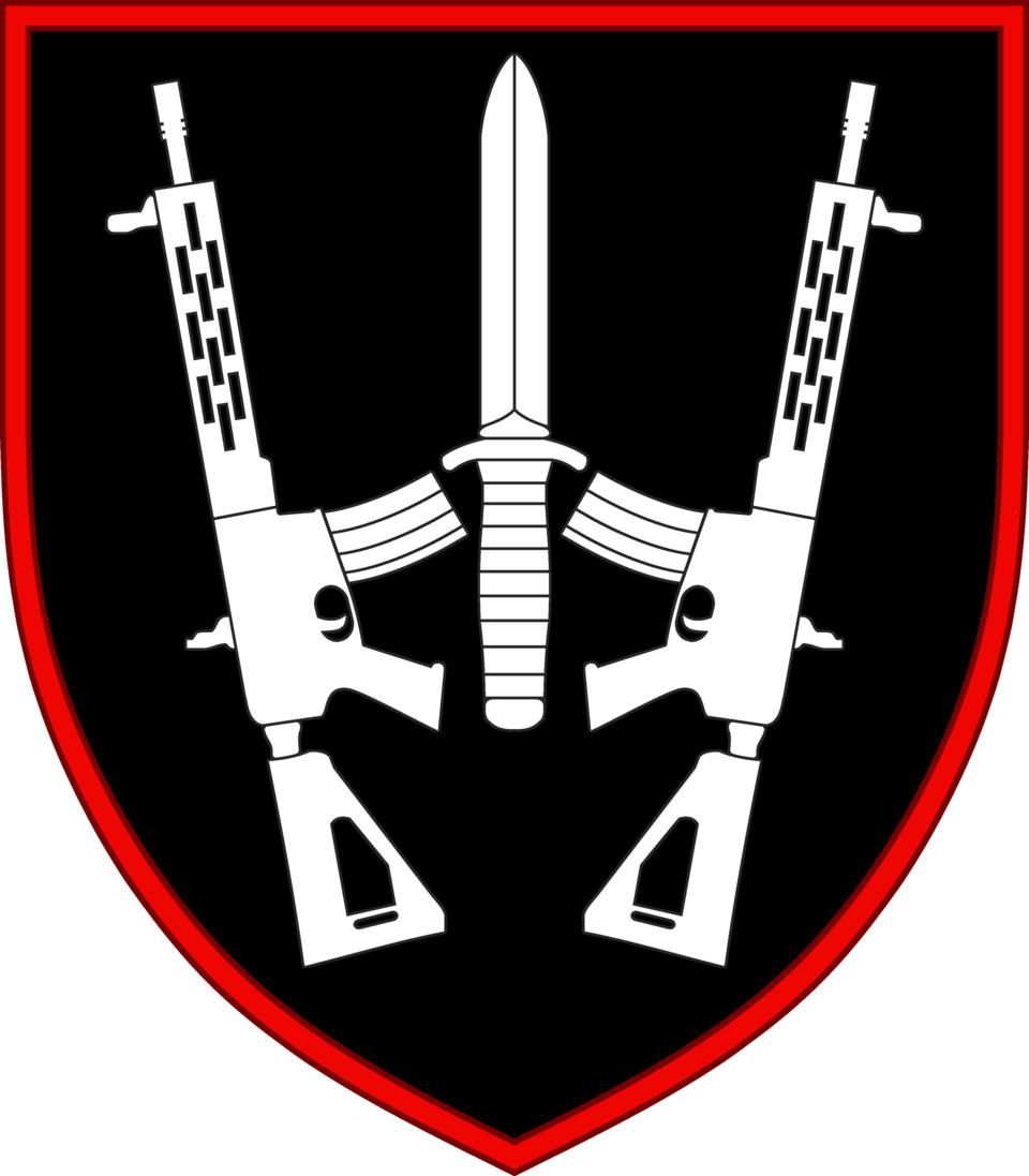 Top 10 chevrons of the best active combat brigades of the Ukrainian army Azov 3K