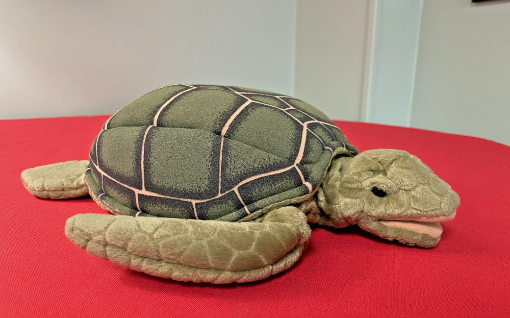 Folkmanis Green Sea Turtle Hand Puppet