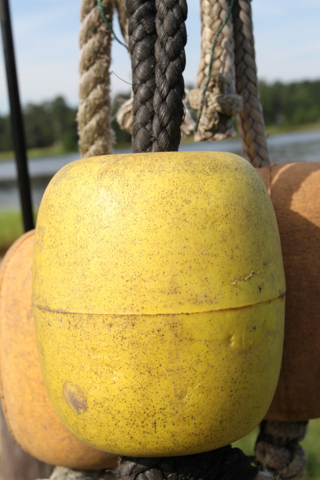 BOUYS ON A ROPE, Costal Wall Decor, 3 Single Floats, Boaters Decor, LTS - 22