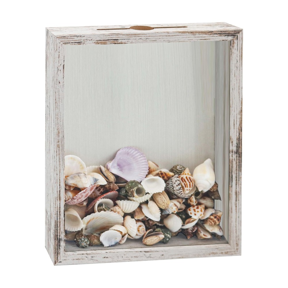 Small Shadow Box Seashell Collection White 8x10 Top Loading Display Case Frame