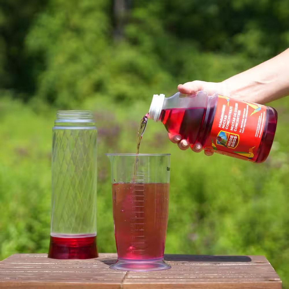 32 Oz. Hummingbird Red Nectar Concentrate