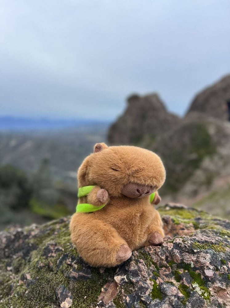 Capybara Chalk Bag