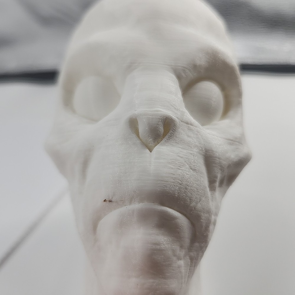 3D Printed Alien Head [109]