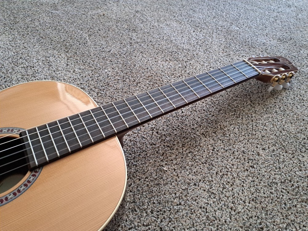 Godin Collection Acoustic Classical Guitar, Solid Cedar Top
