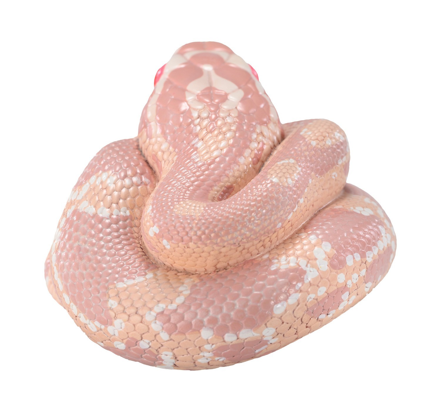 Animal Heavenly Body Corn Snake Coral Snow morph Statue Pantherophis guttatus