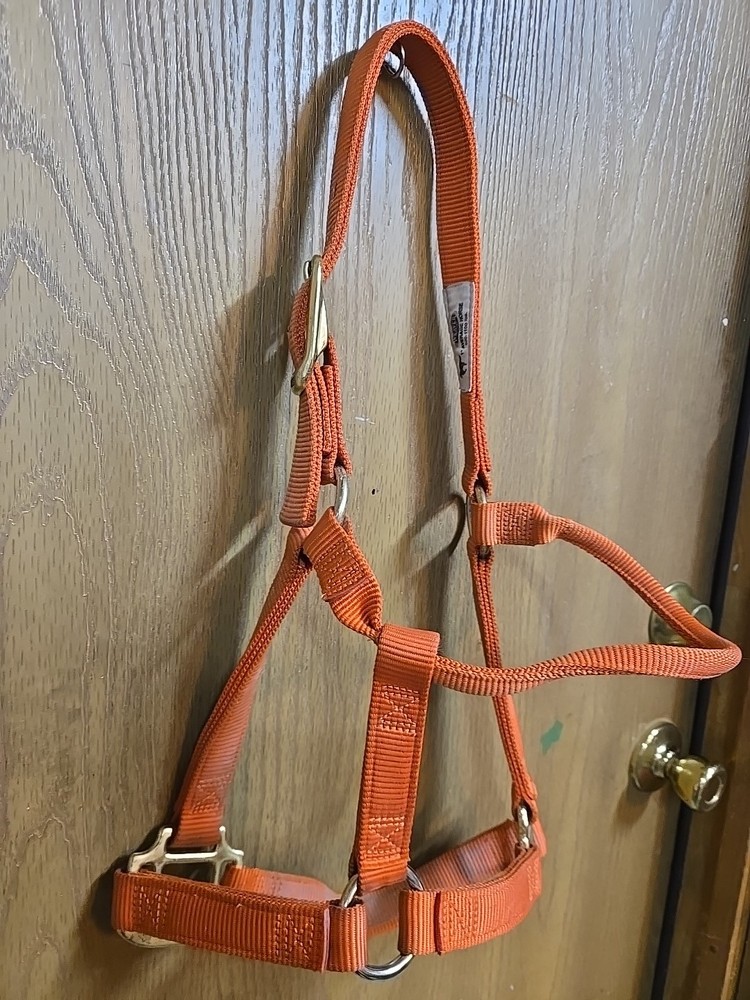 Weaver 1" Average Horse Halter; Orange