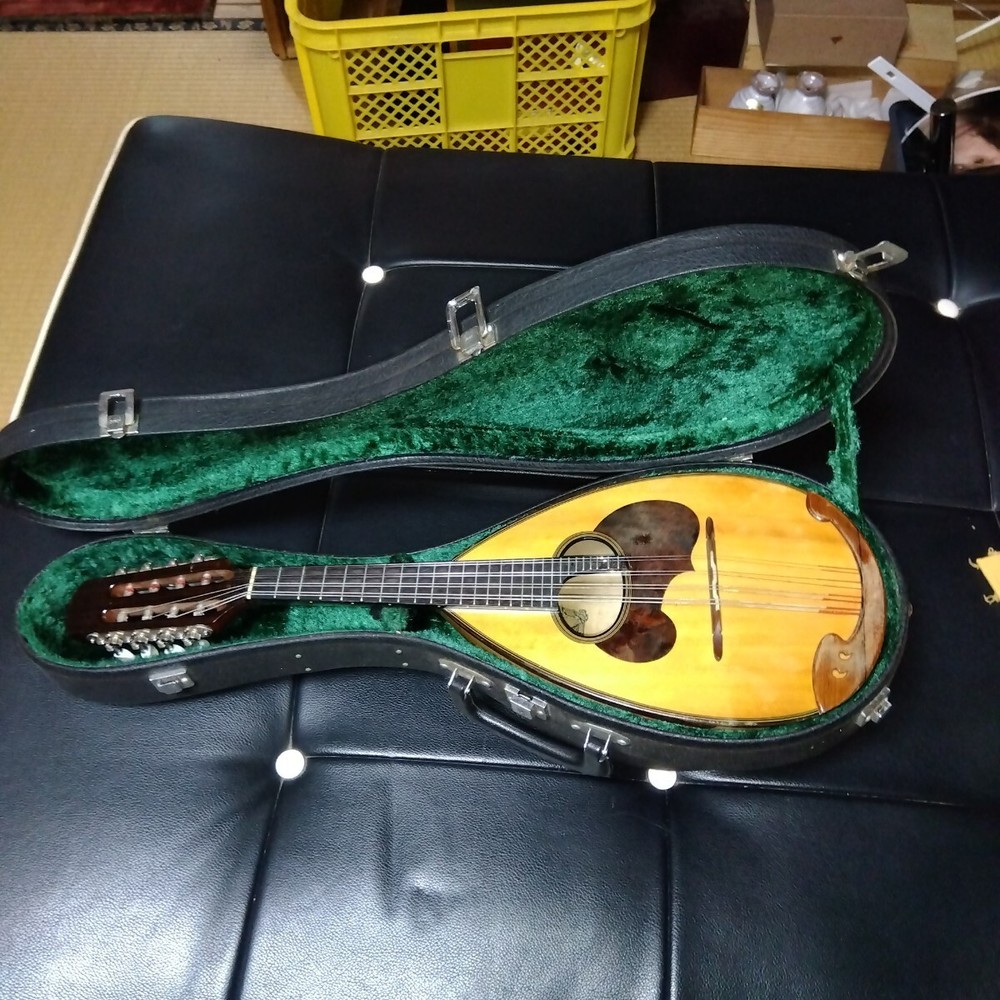 String instrument mandolin with case