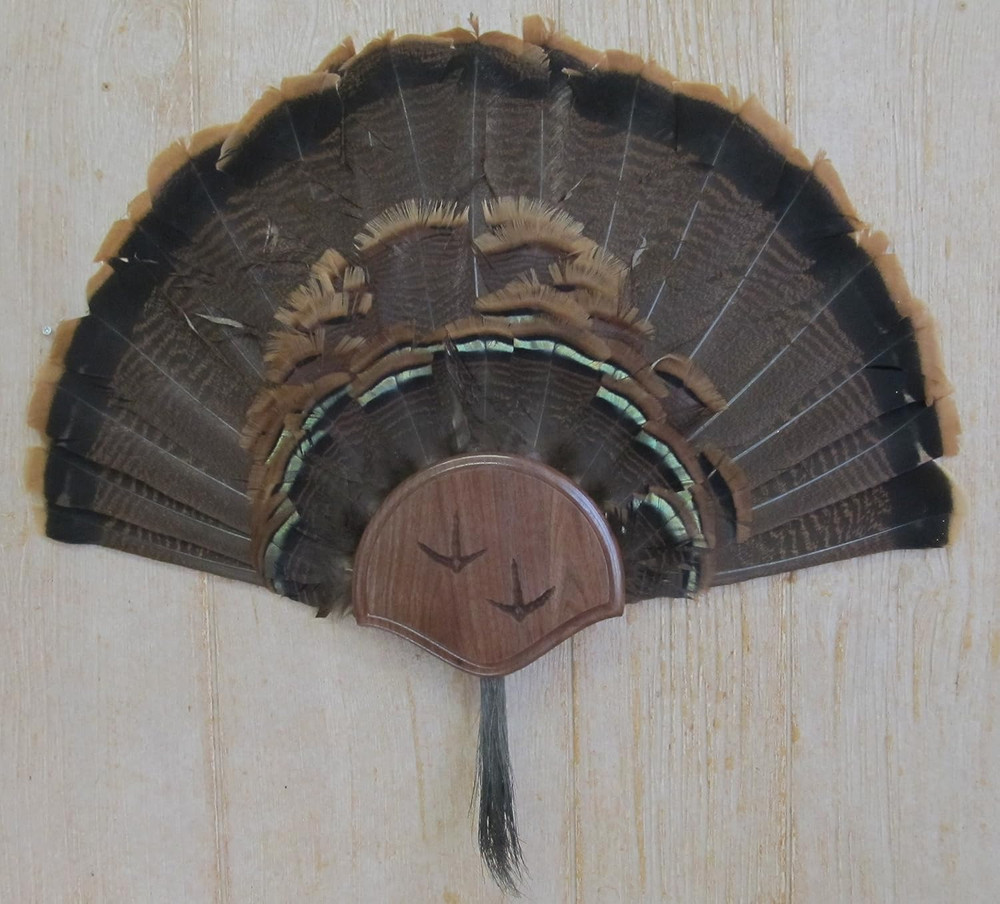 the Black Walnut Carved Turkey Mounting Kit Solid Walnut, Thick solid wood