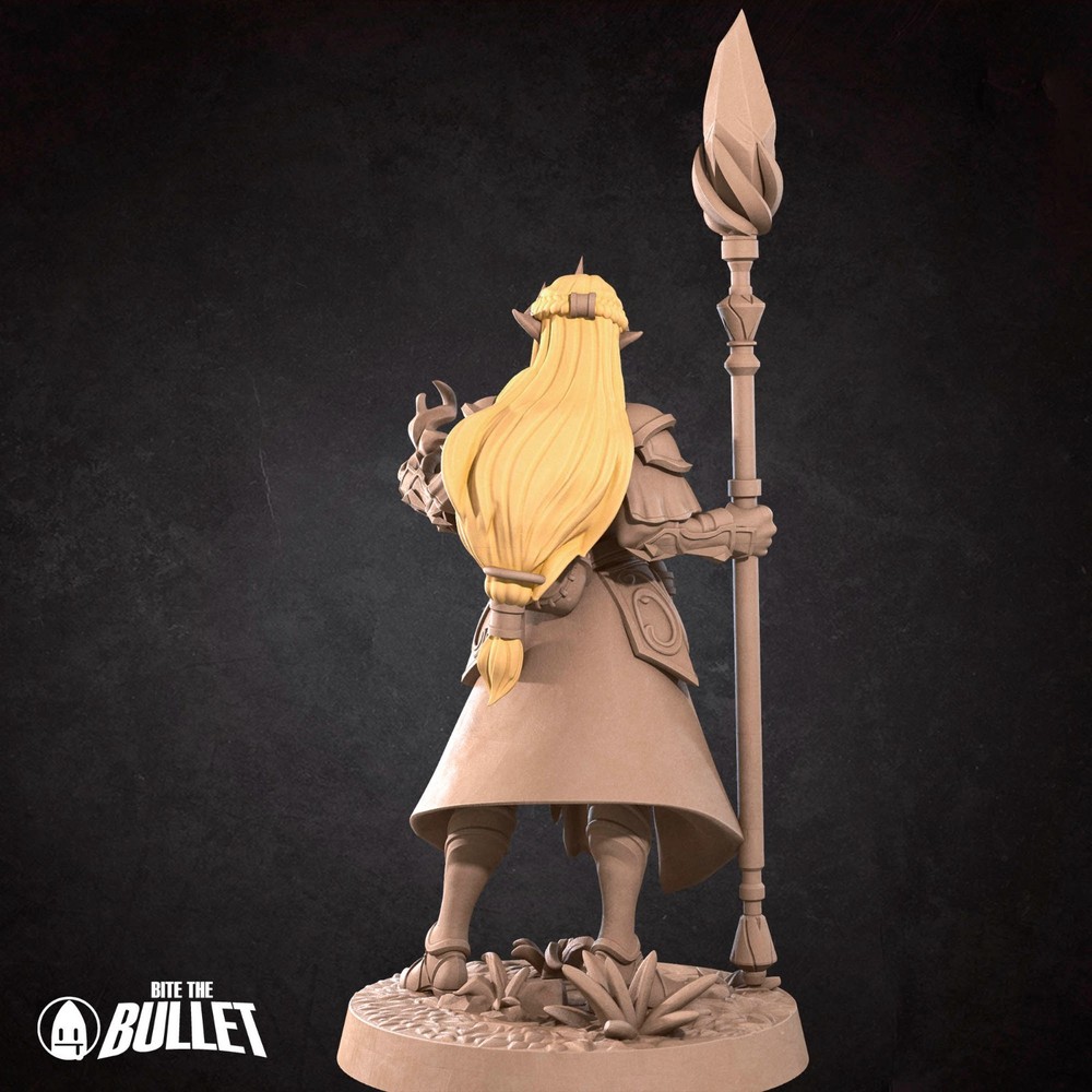 Zeruda Elemental Mage Hero - Bite the Bullet - Dungeons and Dragons