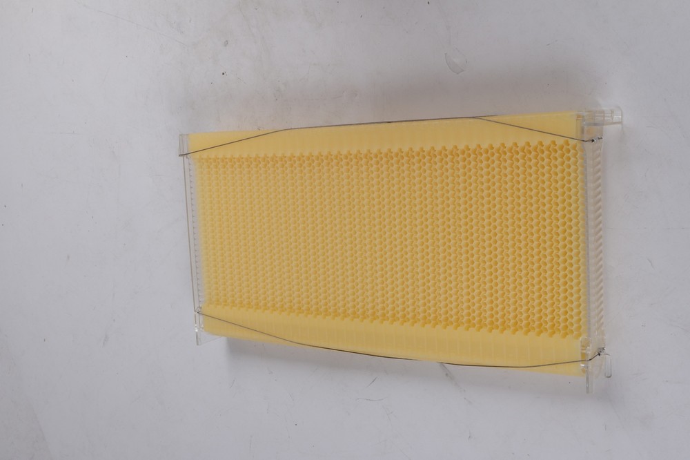Auto Shed Bee Hive Boxes + 7x Bee Frames Honey Bee Hive House Beekeeping Frames
