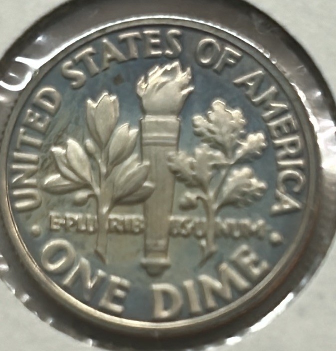**1981 S Roosevelt Clad Dime Proof (MS) **Free Shipping**