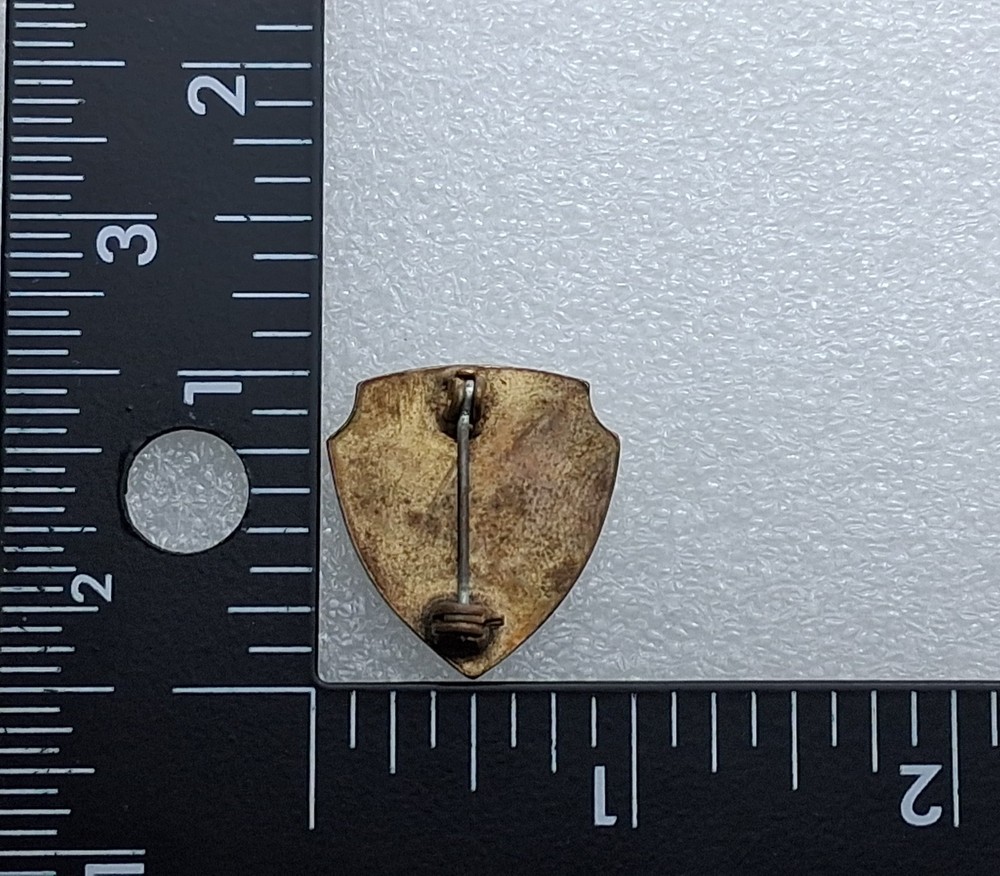 WWII US AAF 9th Air Force DUI