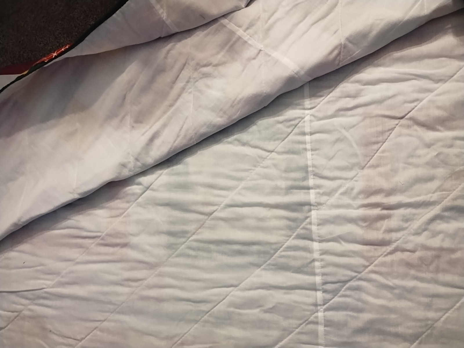 quilt featuring a winter scene with a snowman, reindeer, and penguin Q/F