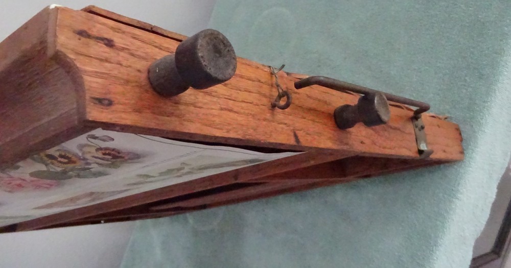 Super Rare 1904 Educational School Chart Roller Teaching Marcius Willson Botany