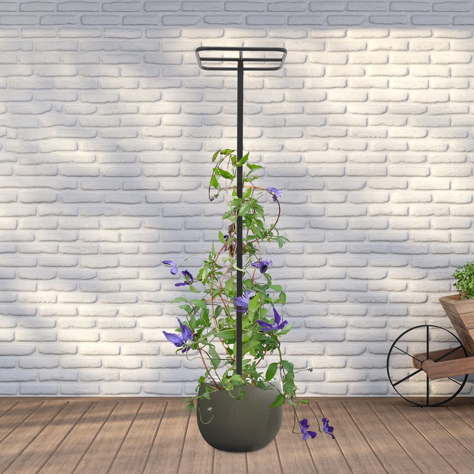 Dragon Fruit Plant Trellis Adjustable Metal Outdoor Vertical Climbing Support