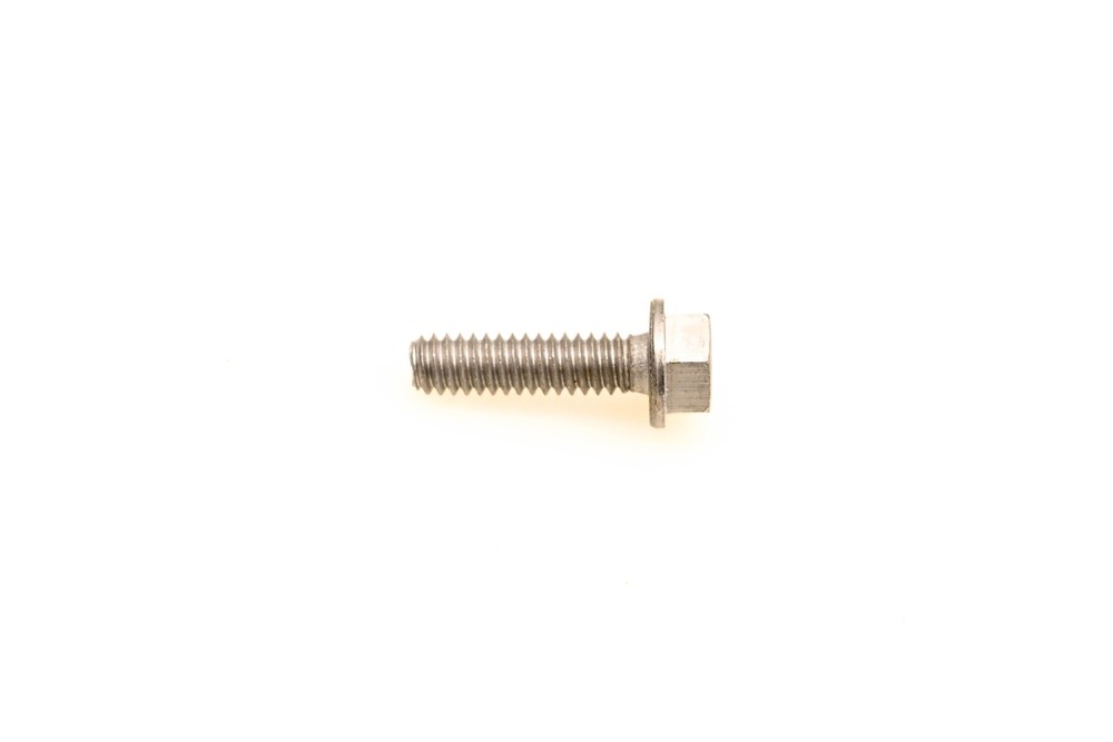 OMC 309646 Screw NOS