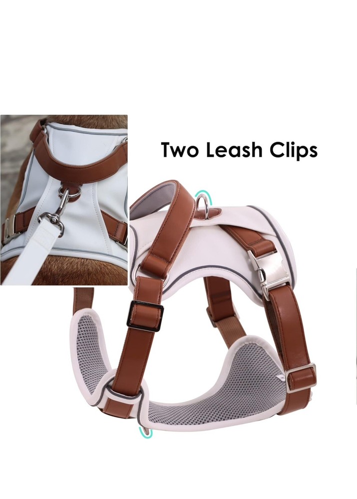 Lather Dog Harness