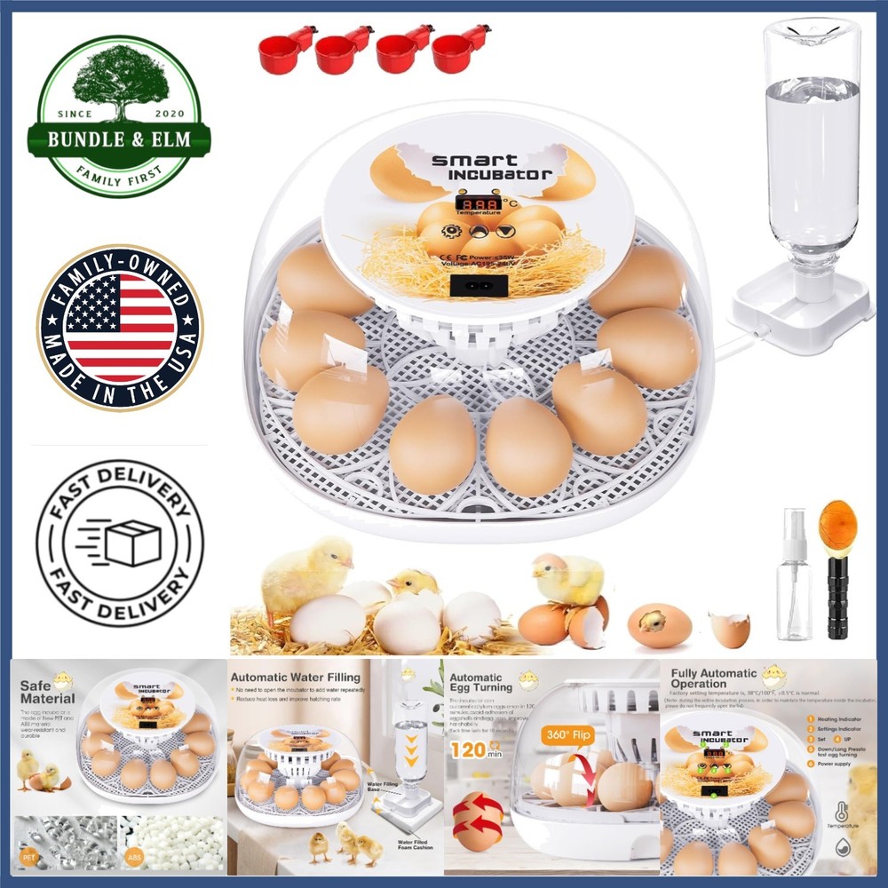 Automatic Egg Incubator for Hatching, Temperature Control & Transparent Lid
