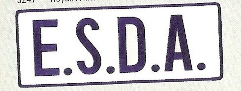 EMERGENCY SERVICE DISASTER ESDA 11X4 REFLECTIVE PATCH