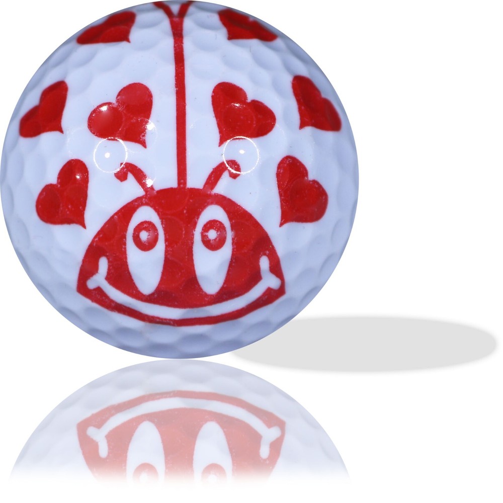 Luv Bug 6 Pack - Perfect Gift Idea!