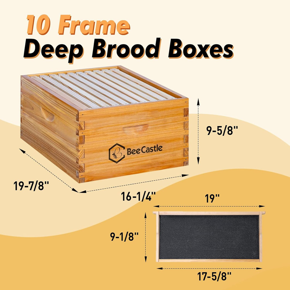 10 Frame Langstroth Bee Hive Coated with Beeswax Includes Beehive Frames and Wax