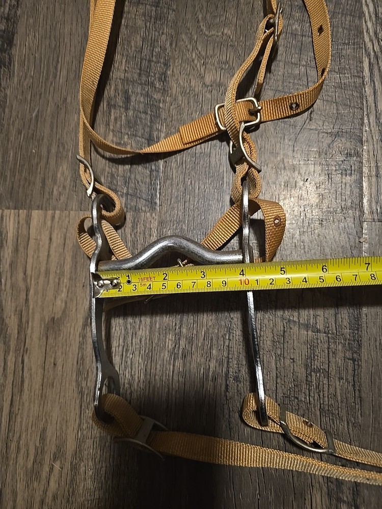 western bridle