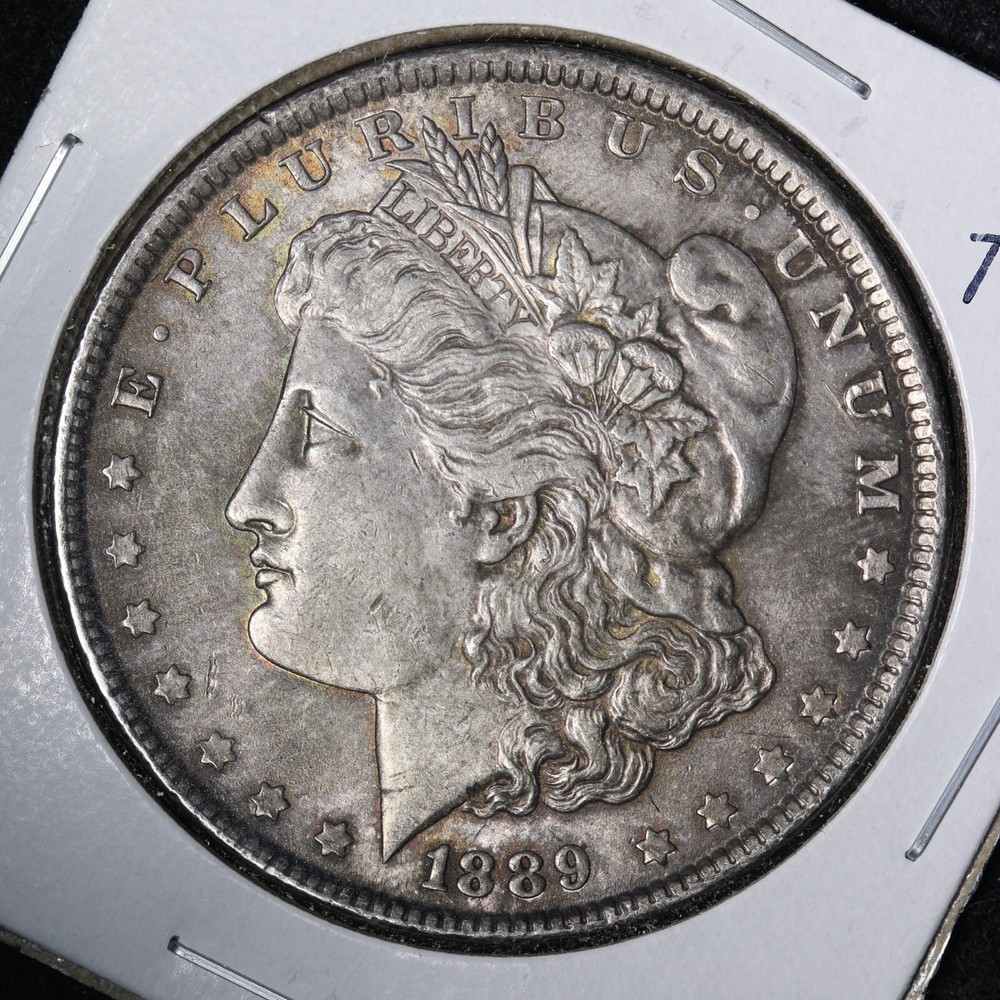 1889 Morgan Silver Dollar CHOICE UNC *UNCIRCULATED* MS TONED E193 AMX