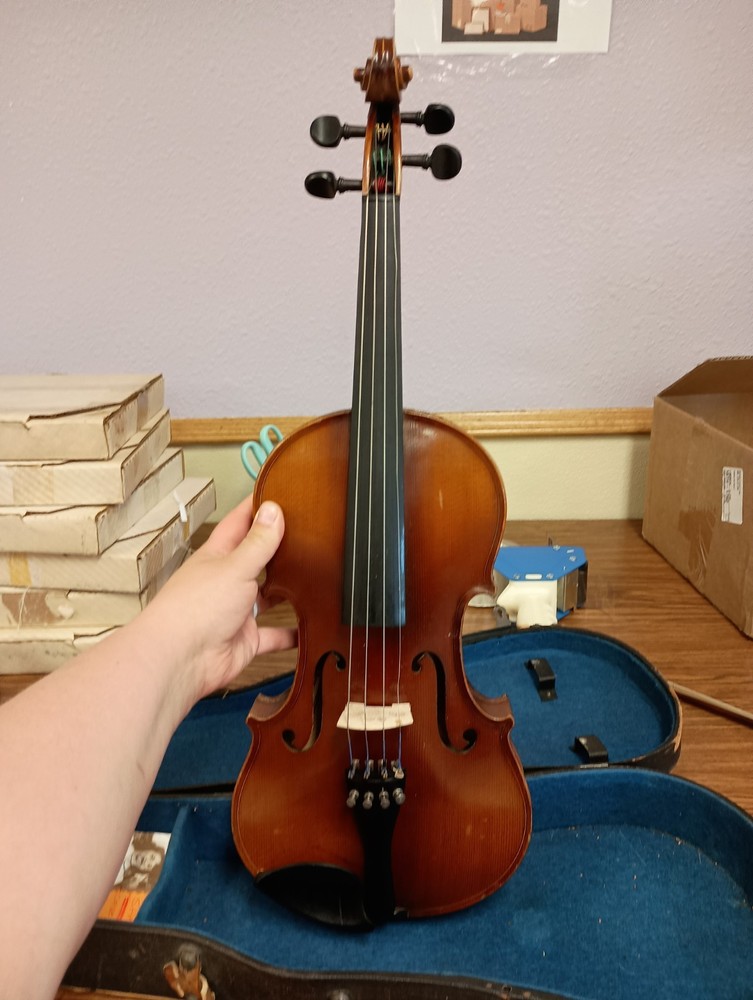 Violin