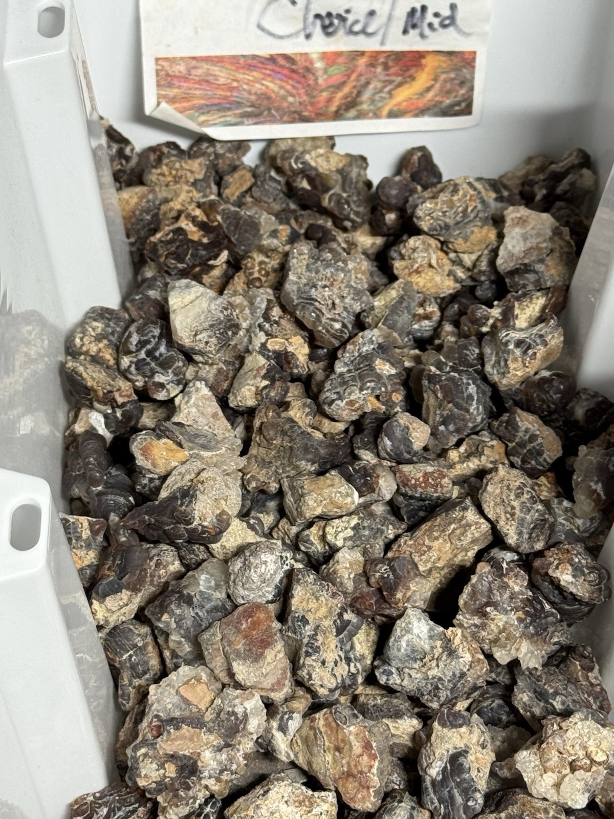 1/2 Lb Mid to Choice Grade Fire Agate Smalls Untreated Colorful Blind Grab Rough