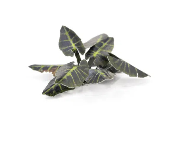 Gamers Grass: Laser Plants - Black Magic Taro