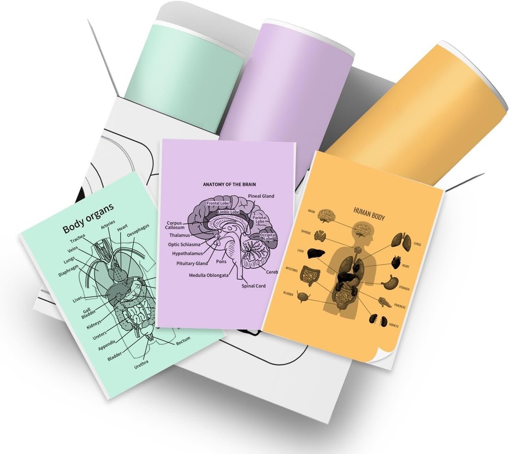 Phomemo T02 Mini Portable Wireless Bluetooth Photo Receipt Printers for Journal