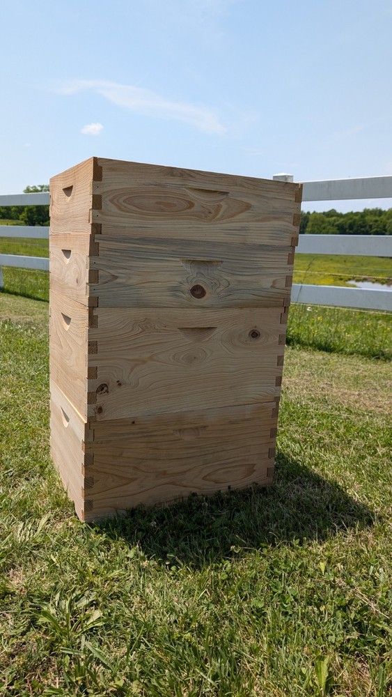 Cypress Langstroth Beehive Ten Frame Budget Grade