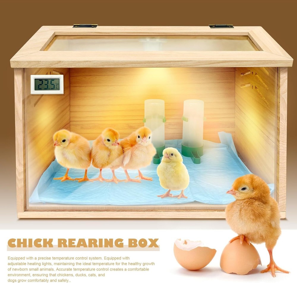 Chicken brooder Box,Chick brooder,brooder Box for Chicks,Small Chicken coop