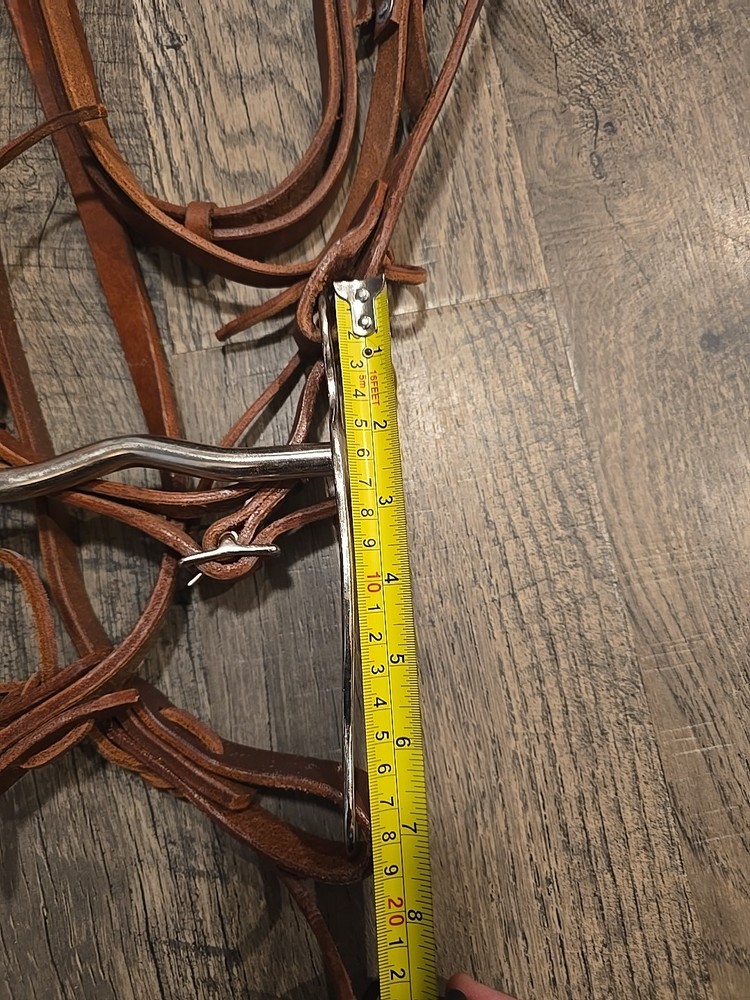 western bridle and reins