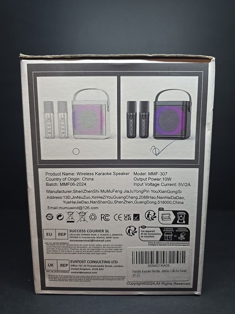 Bluetooth Karaoke Speaker with Two Wireless Microphones