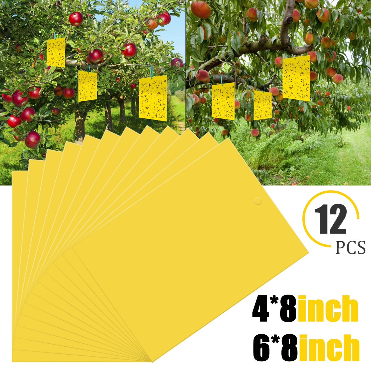 60 PCS Sticky Fly Traps- Gnat&Insect Catcher with Hanging Ropes|Strong Glue Trap