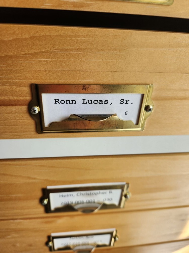 Ronn Lucas Salmon Fly L8