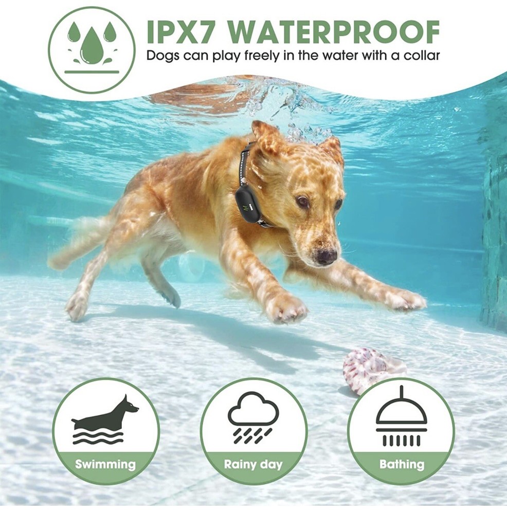 dog training collar with remote