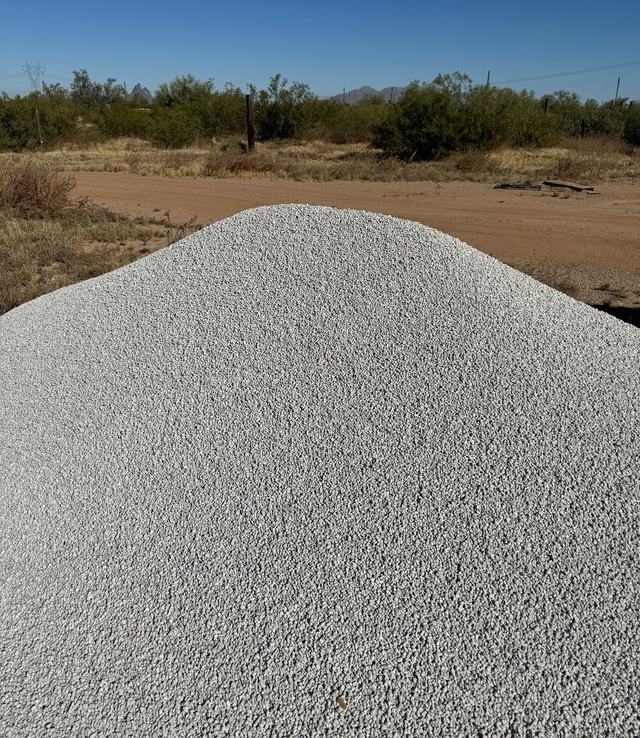 5 Gallons 3/8" Horticultural Pumice Rock Soil Amendment Succulents Cacti Bonsai